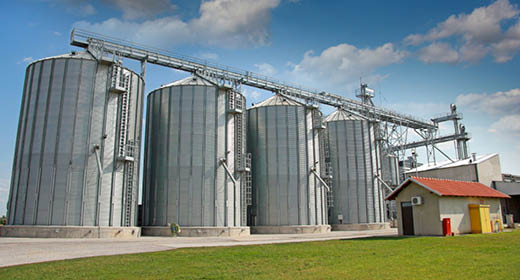 Grain and Feed Alliance Bucket.jpg
